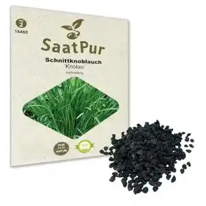 Knoblauch-Samen SaatPur Schnittknoblauch, für ca. 200 Pflanzen