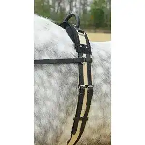 Voltigiergurt Busse Longiergurt mit Handgriff, schwarz, Pony,