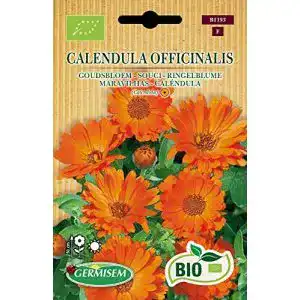 Ringelblumen-Samen Germisem CALENDULA OFFICINALIS