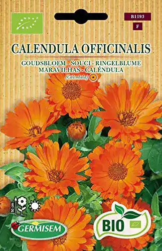 Ringelblumen-Samen Germisem CALENDULA OFFICINALIS