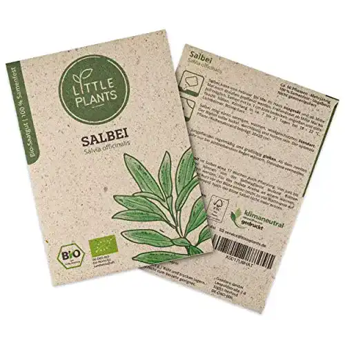 Salbei-Samen Little Plants BIO-Salbeisamen, Salvia officinalis