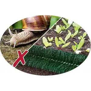 Schneckenzaun Qualitätsbürsten grün; Ø 10 cm (10 Meter)