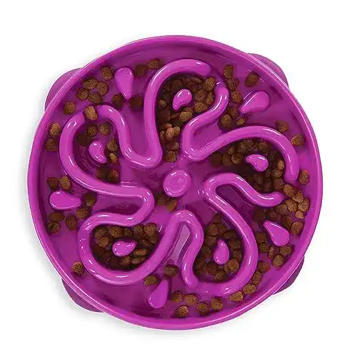 Anti-Schling-Napf Hund Outward Hound Kyjen Fun Feeder Slo Bowl