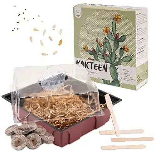 Kakteen-Samen HappySeed Kakteen Starter Kit Anzuchtset
