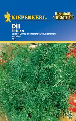 Dill-Samen Kiepenkerl, Dill Einjährig