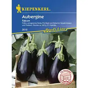 Auberginen-Samen Kiepenkerl – Gemüse-Saatgut, Falcon