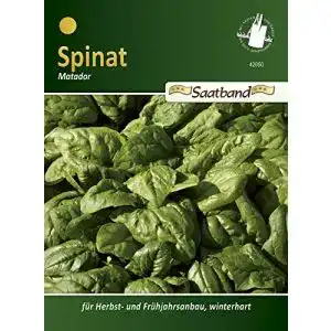 Spinat-Samen Chrestensen Spinat Matador Saatband