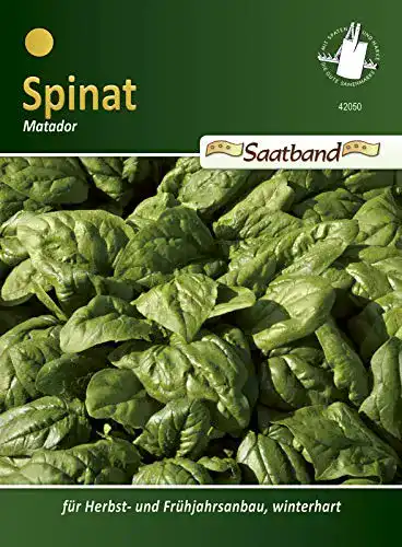 Spinat-Samen Chrestensen Spinat Matador Saatband