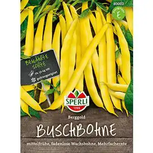 Buschbohnen-Samen Sperli 80002 Berggold ertragreich fadenlos
