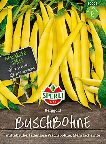 Buschbohnen-Samen Sperli 80002 Berggold ertragreich fadenlos
