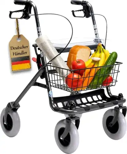 Wohnungsrollator FabaCare Rollator mit Vollausstattung