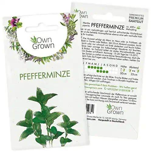 Minze-Samen OwnGrown Pfefferminze Samen: ca. 300 Pflanzen
