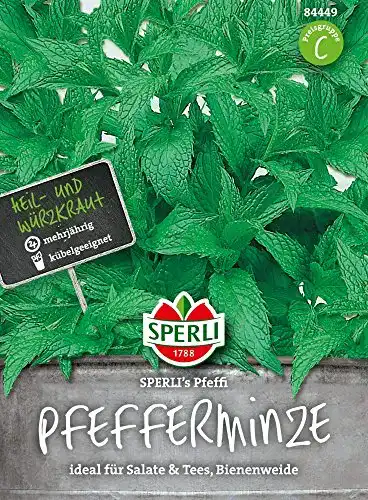 Pfefferminze-Samen Sperli 84449 Premium Pfefferminze Samen