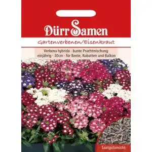 Eisenkraut-Samen Dürr-Samen Dürr Samen 0740 Gartenverbenen