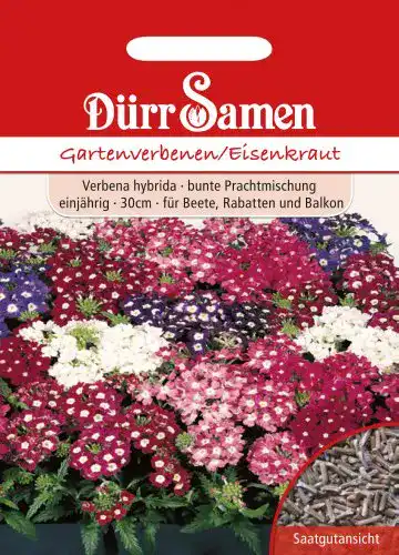 Eisenkraut-Samen Dürr-Samen Dürr Samen 0740 Gartenverbenen