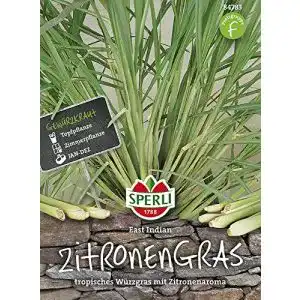 Zitronengras-Samen Sperli Zitronengras, East Indian