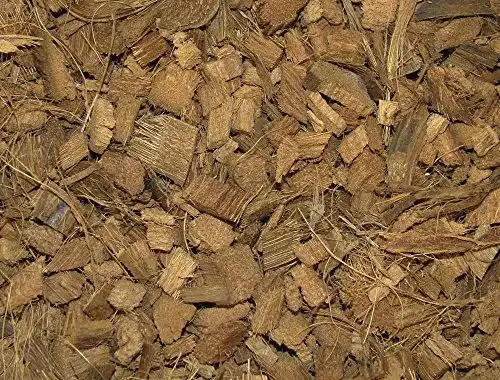Kokoseinstreu Nobby grob 10