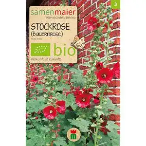 Stockrosen-Samen Samen Maier 854 Stockrose, dunkelrot