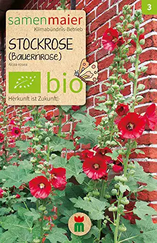 Die beste Stockrosen-Samen Samen Maier 854 Stockrose, dunkelrot 2026 Test Bestseller Stockrosen-Samen Samen Maier 854 Stockrose, dunkelrot