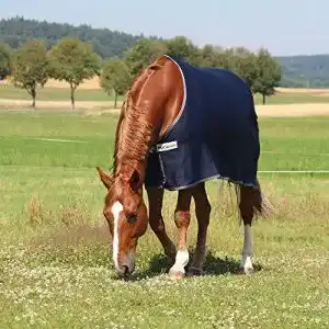 Abschwitzdecke Horseware HorSeven Cooler ‘Lucky Seven’