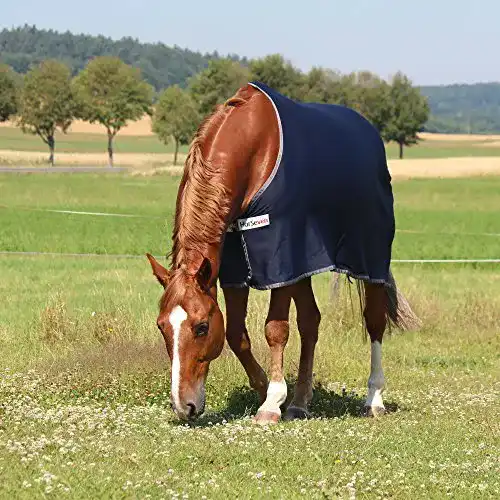 Die beste Abschwitzdecke Horseware HorSeven Cooler 'Lucky Seven' 2026 Test Bestseller Abschwitzdecke Horseware HorSeven Cooler ‘Lucky Seven’