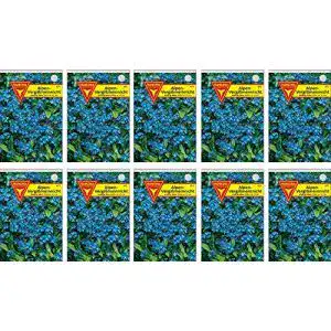 Vergissmeinnicht-Samen Frankonia, Samen, blau, 10er Pack