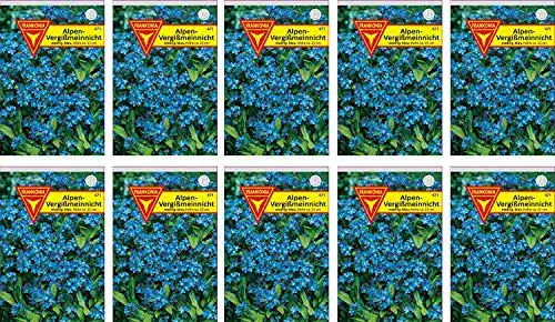 Vergissmeinnicht-Samen Frankonia, Samen, blau, 10er Pack