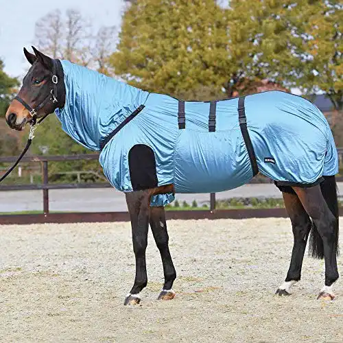 Die beste Ekzemerdecke (Pferd) Busse Ekzemerdecke Strong, 145,eisblau 2026 Test Bestseller Ekzemerdecke (Pferd) Busse Ekzemerdecke Strong, 145,eisblau