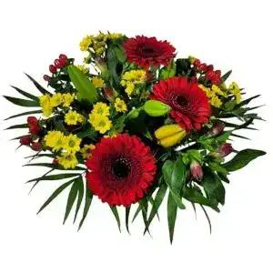 Blumenstrauß Flora Trans – Geschenk Freundin – zum Geburtstag