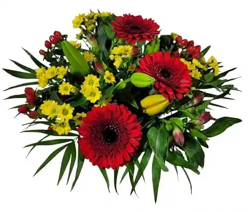 Blumenstrauß Flora Trans – Geschenk Freundin – zum Geburtstag