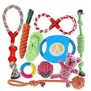 Hundespielzeug FONPOO, Baumwolle, ungiftig, 10 PCS