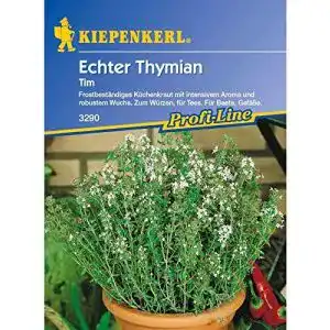 Thymian-Samen Kiepenkerl Echter Thymian Tim