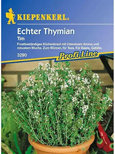 Thymian-Samen Kiepenkerl Echter Thymian Tim
