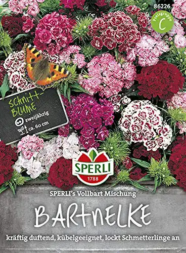 Bartnelken-Samen Sperli, Bartnelke ‘s Vollbart Mischung
