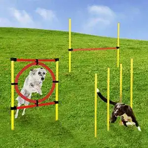 Agilitygeräte Momex Agility Set Hunde Training Hundesport