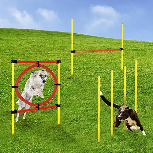 Agilitygeräte Momex Agility Set Hunde Training Hundesport