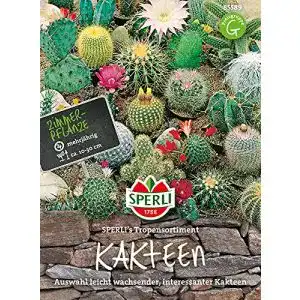 Sukkulenten-Samen Sperli 85589 Premium Kakteen Samen Mix