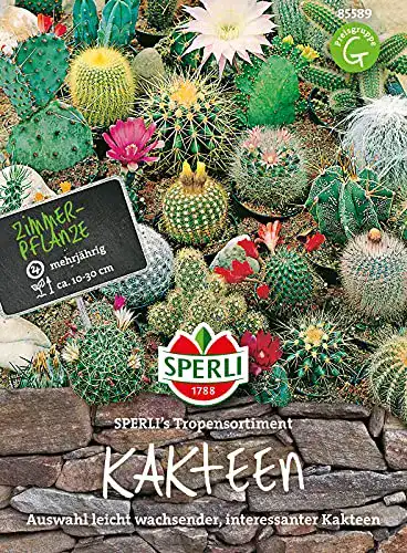 Die beste Kakteen-Samen Sperli 85589 Premium Kakteen Samen Mix 2026 Test Bestseller Kakteen-Samen Sperli 85589 Premium Kakteen Samen Mix