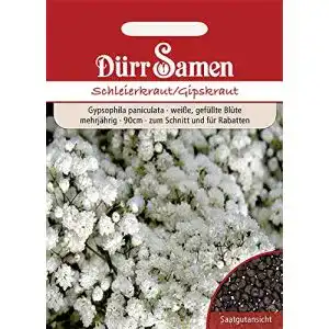 Schleierkraut-Samen Dürr-Samen Schleierkraut weiß gefüllt
