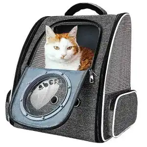 Katzenrucksack PENCCOR Haustier Transportrucksack, grau