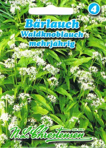 Bärlauch-Samen Chrestensen Bärlauch