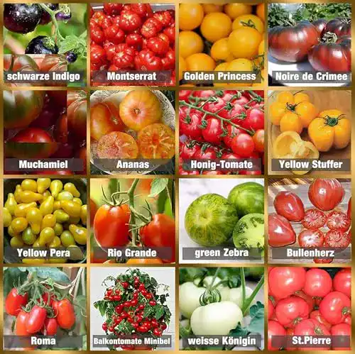 Tomatensamen prademir Tomaten Saat Set 16 x 10 Saatgut