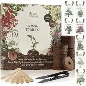 Bonsai-Starter-Kit OwnGrown Bonsai Starter Kit mit 7 Sorten