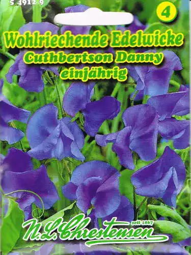 Duftwicken-Samen Chrestensen Edelwicke Cuthbertson Danny blau