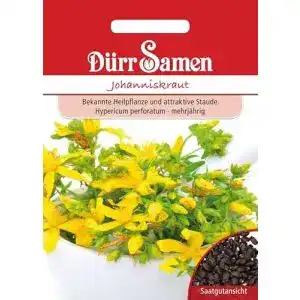 Johanniskraut-Samen Dürr-Samen, 100 x Johanniskraut Saatgut
