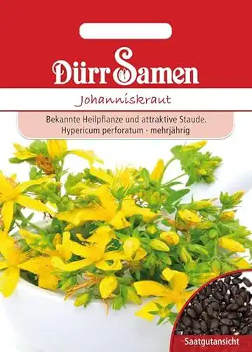 Johanniskraut-Samen Dürr-Samen, 100 x Johanniskraut Saatgut