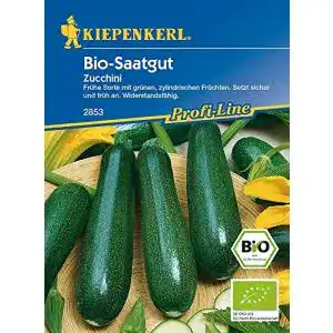 Zucchini-Samen Kiepenkerl Zucchini Dundoo BIO