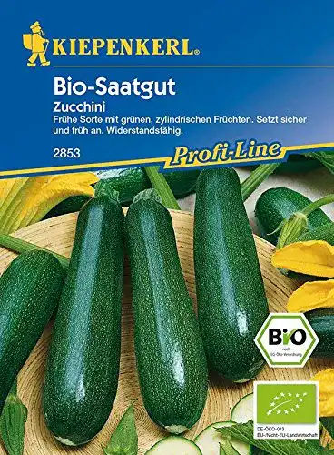 Zucchini-Samen Kiepenkerl Zucchini Dundoo BIO