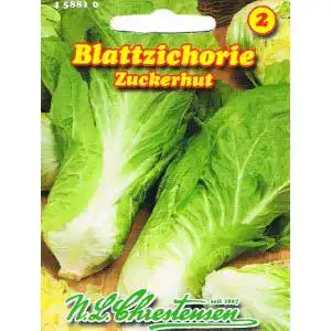 Zuckerhut-Samen Chrestensen Zichoriensalat Schweizer