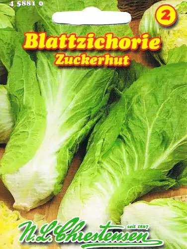 Zuckerhut-Samen Chrestensen Zichoriensalat Schweizer